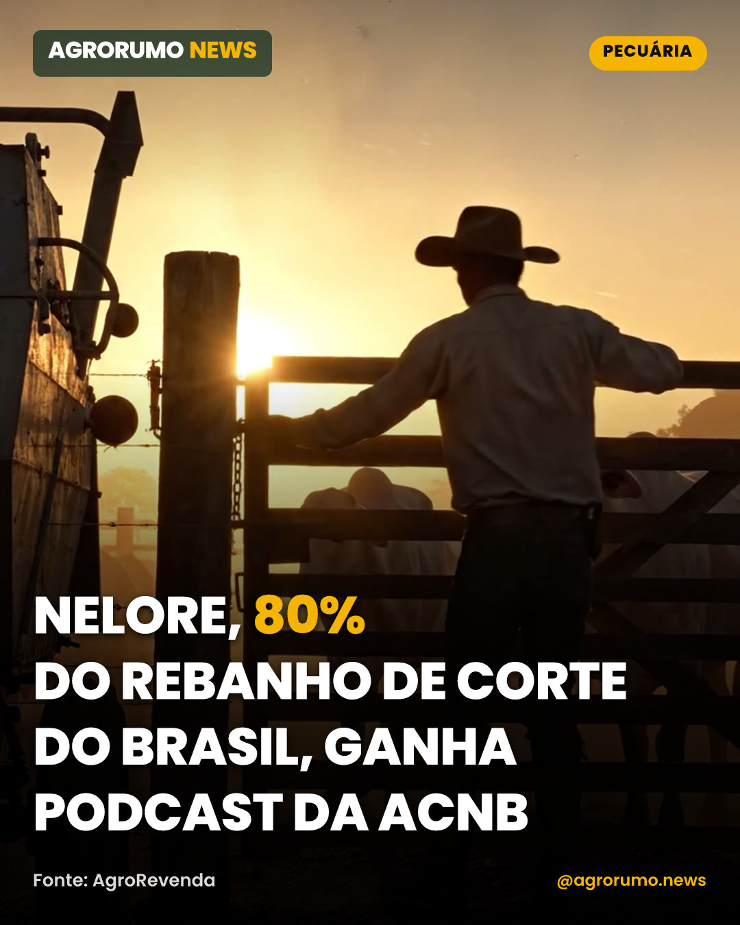 Nelore, 80% do rebanho de corte do Brasil, ganha podcast da ACNB