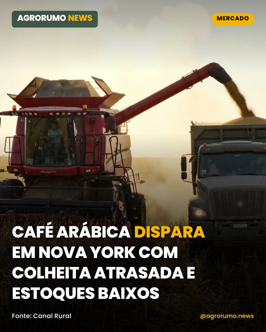 Café arábica dispara em Nova York com colheita atrasada e estoques baixos