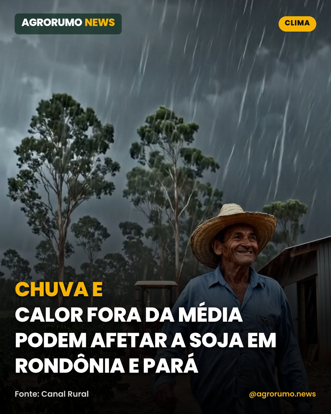 Chuva e calor fora da média podem afetar a soja em Rondônia e Pará