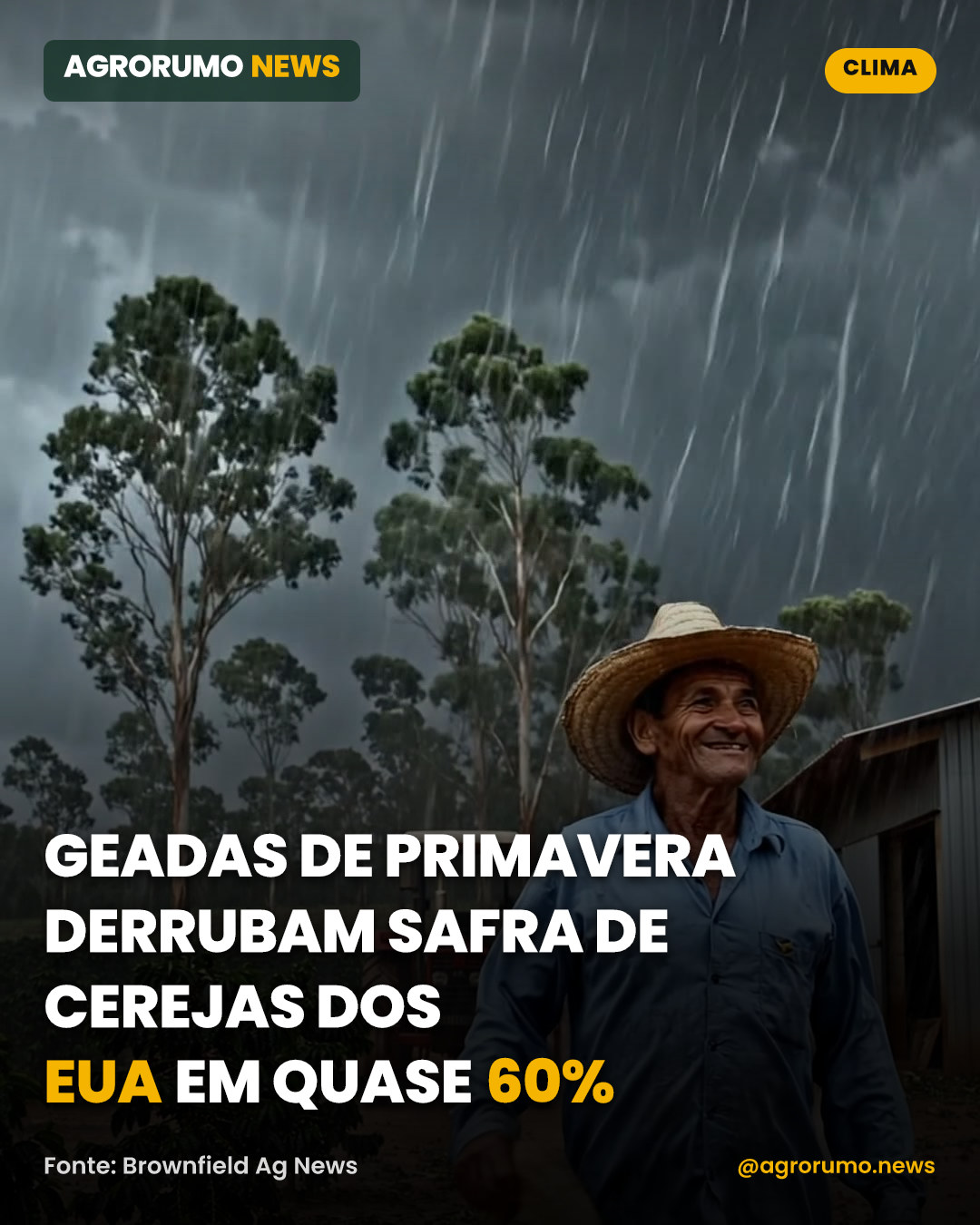 Geadas de primavera derrubam safra de cerejas dos EUA em quase 60%