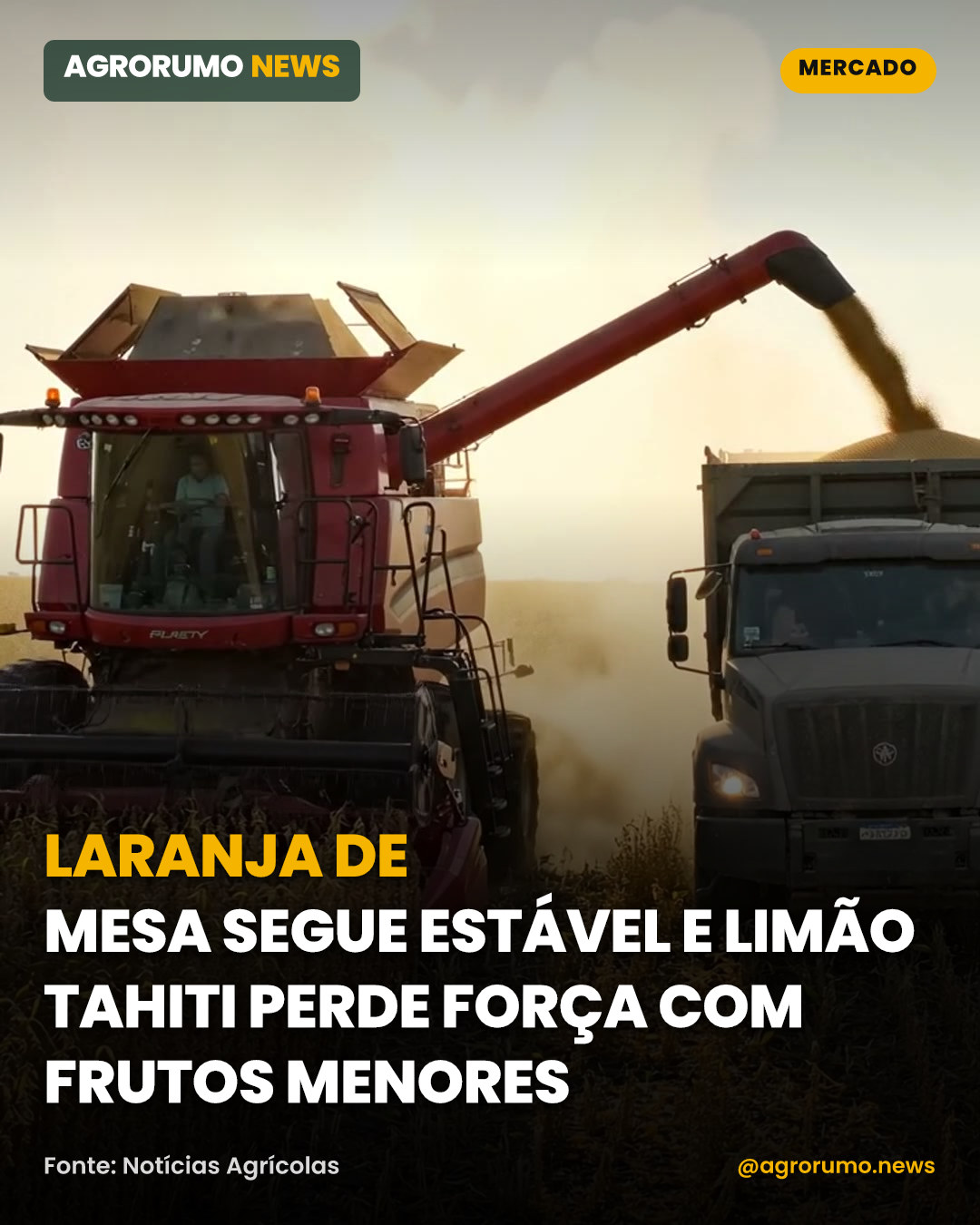 Laranja de mesa segue estável e limão tahiti perde força com frutos menores