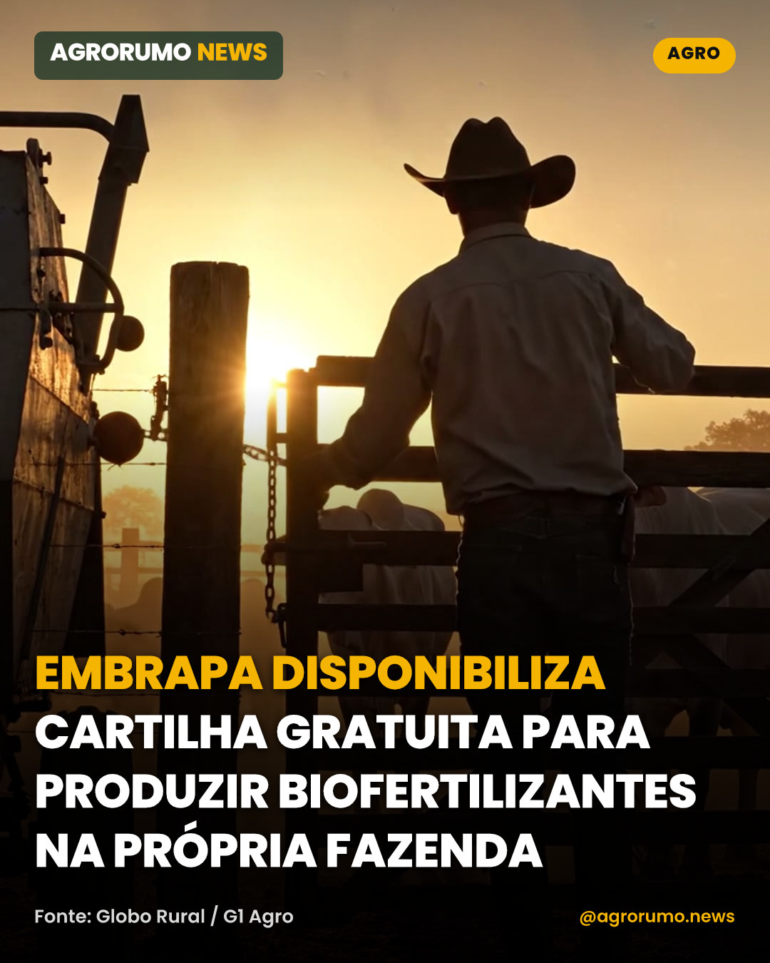 Embrapa disponibiliza cartilha gratuita para produzir biofertilizantes na própria fazenda