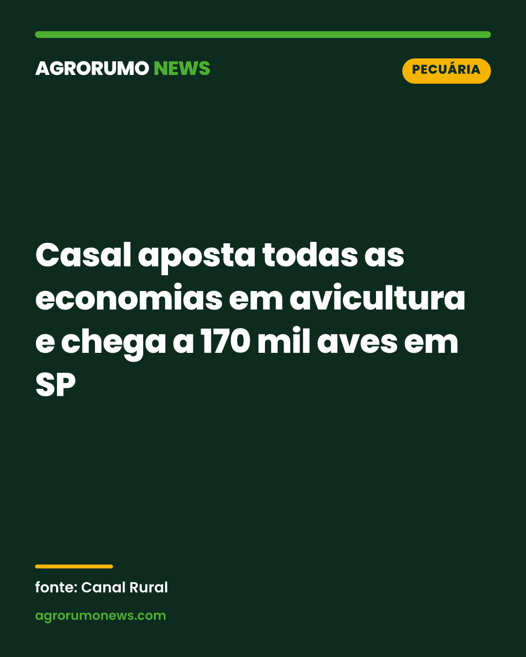 Casal aposta todas as economias em avicultura e chega a 170 mil aves em SP