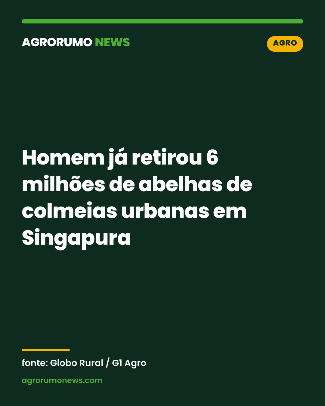 Homem já retirou 6 milhões de abelhas de colmeias urbanas em Singapura