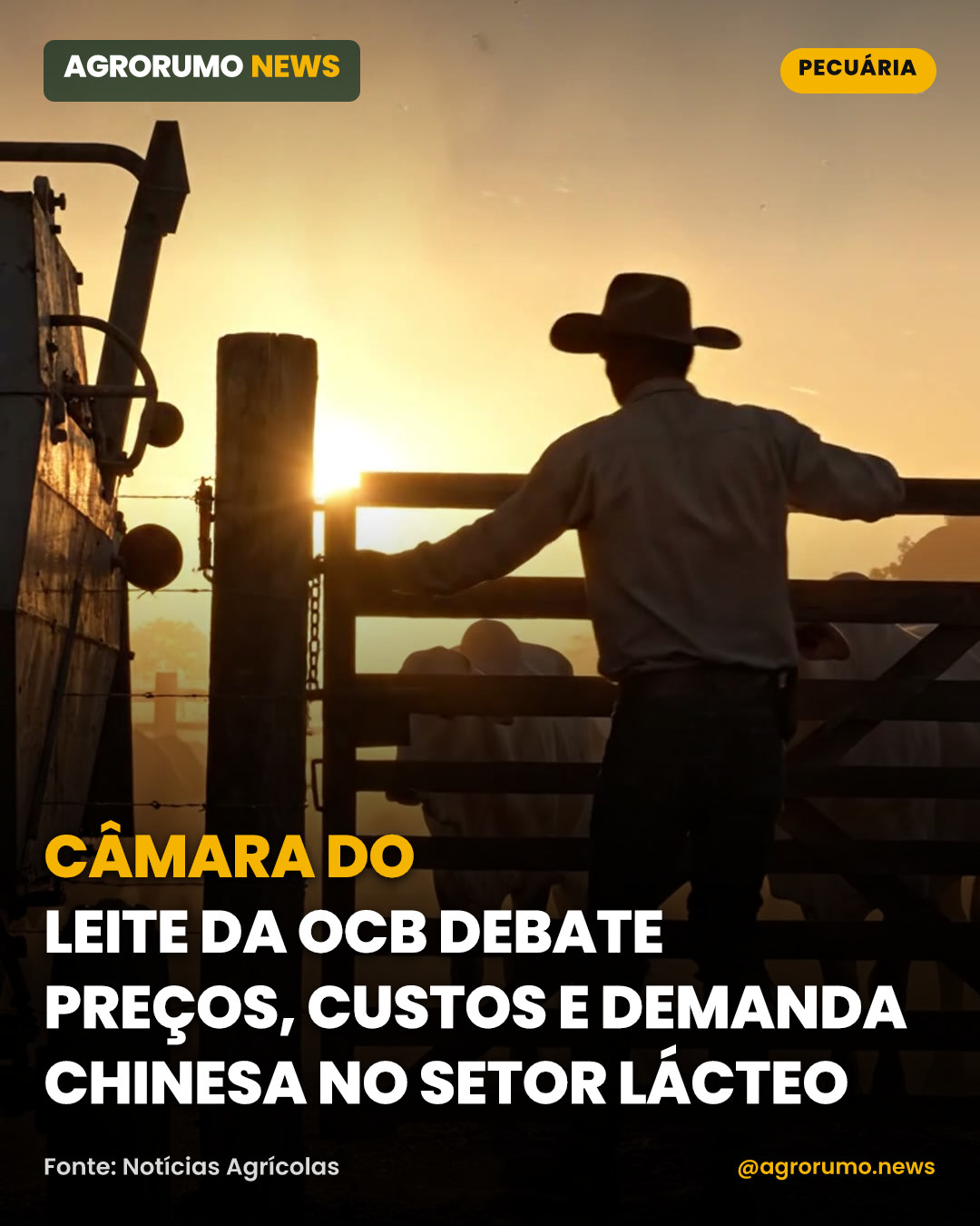 Câmara do Leite da OCB debate preços, custos e demanda chinesa no setor lácteo