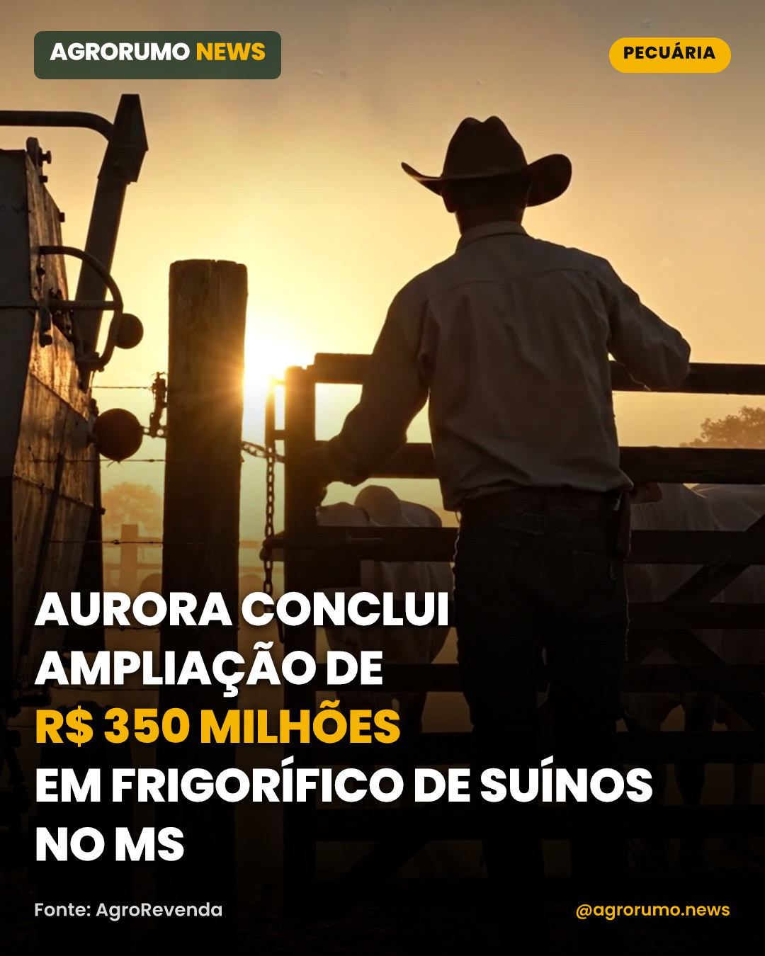 Aurora conclui ampliação de R$ 350 milhões em frigorífico de suínos no MS