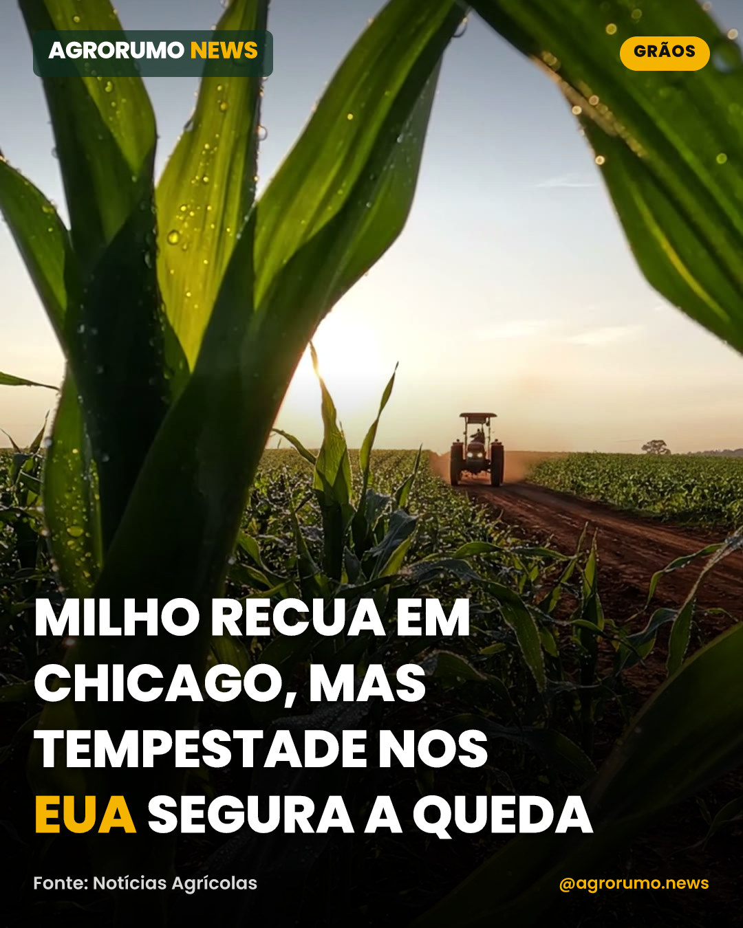 Milho recua em Chicago, mas tempestade nos EUA segura a queda