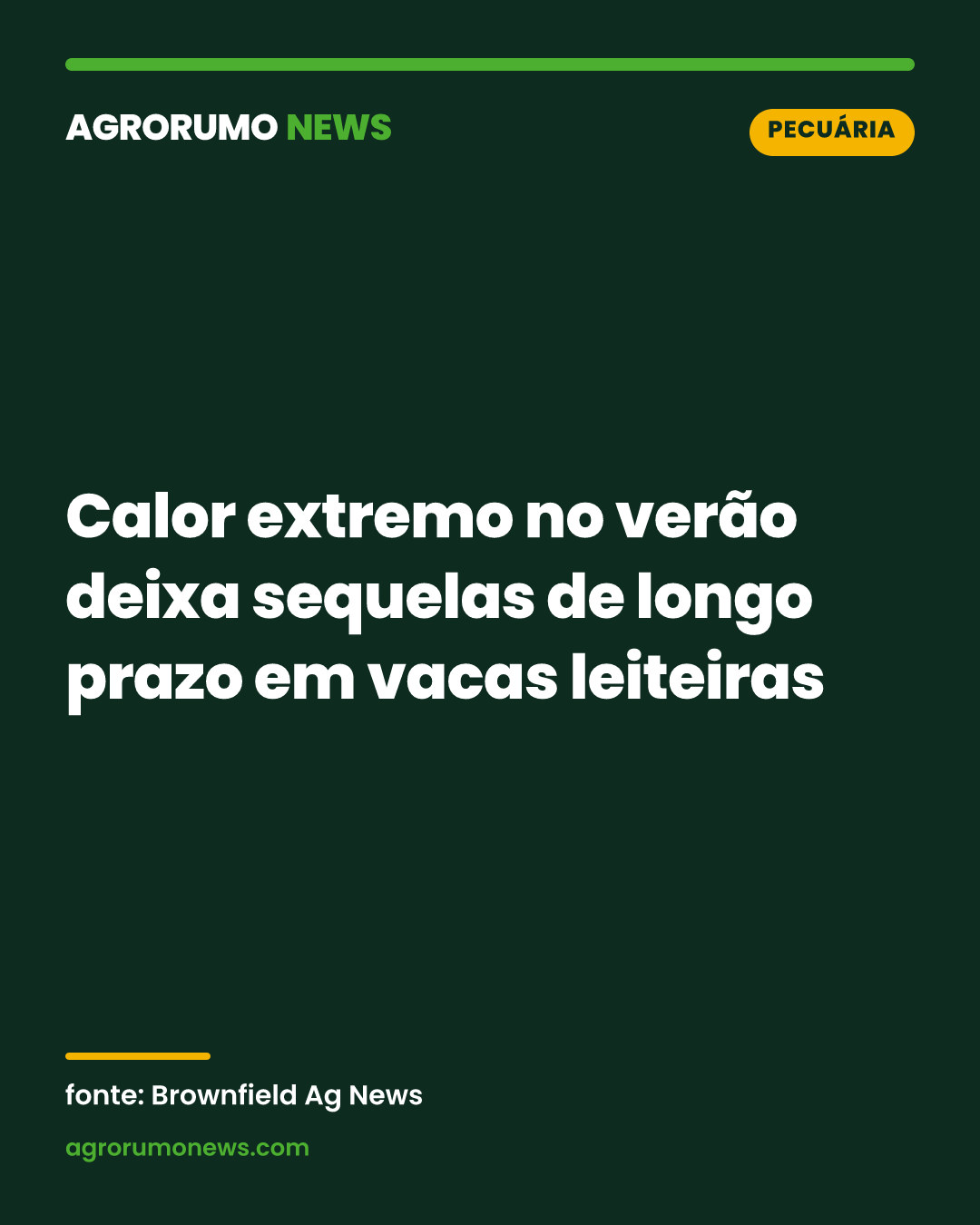 Calor extremo no verão deixa sequelas de longo prazo em vacas leiteiras