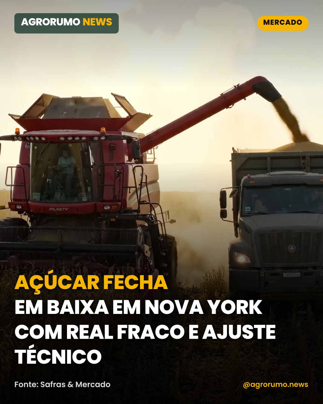Açúcar fecha em baixa em Nova York com real fraco e ajuste técnico