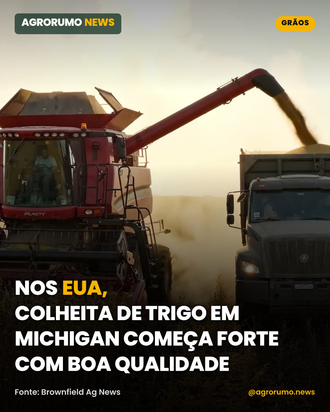 Nos EUA, colheita de trigo em Michigan começa forte com boa qualidade