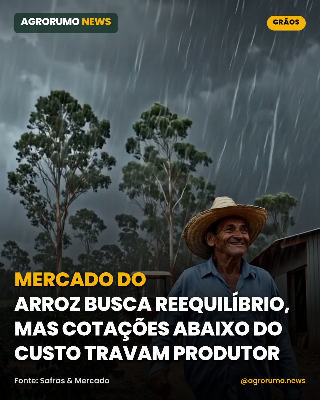 Mercado do arroz busca reequilíbrio, mas cotações abaixo do custo travam produtor