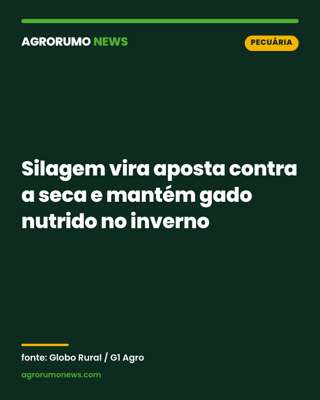 Silagem vira aposta contra a seca e mantém gado nutrido no inverno