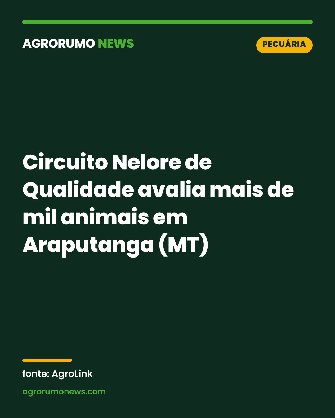 Circuito Nelore de Qualidade avalia mais de mil animais em Araputanga (MT)