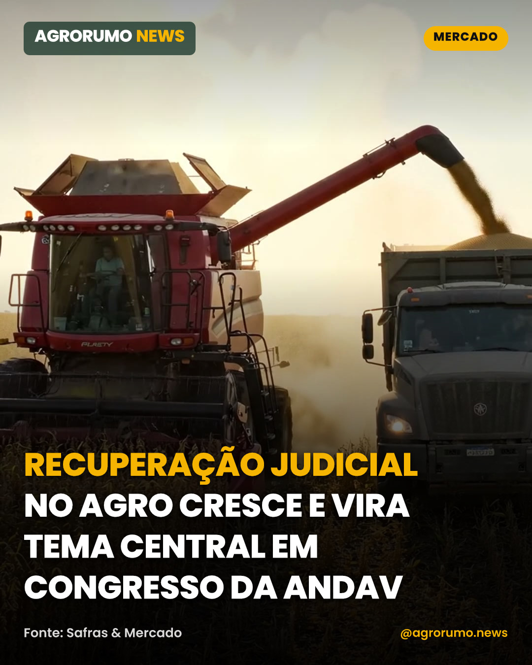 Recuperação judicial no agro cresce e vira tema central em congresso da Andav