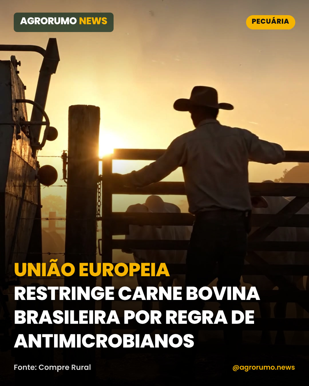 União Europeia restringe carne bovina brasileira por regra de antimicrobianos