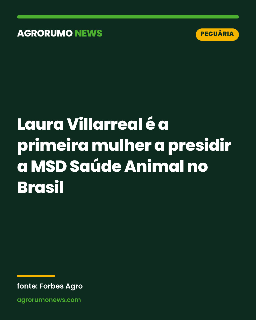 Laura Villarreal é a primeira mulher a presidir a MSD Saúde Animal no Brasil