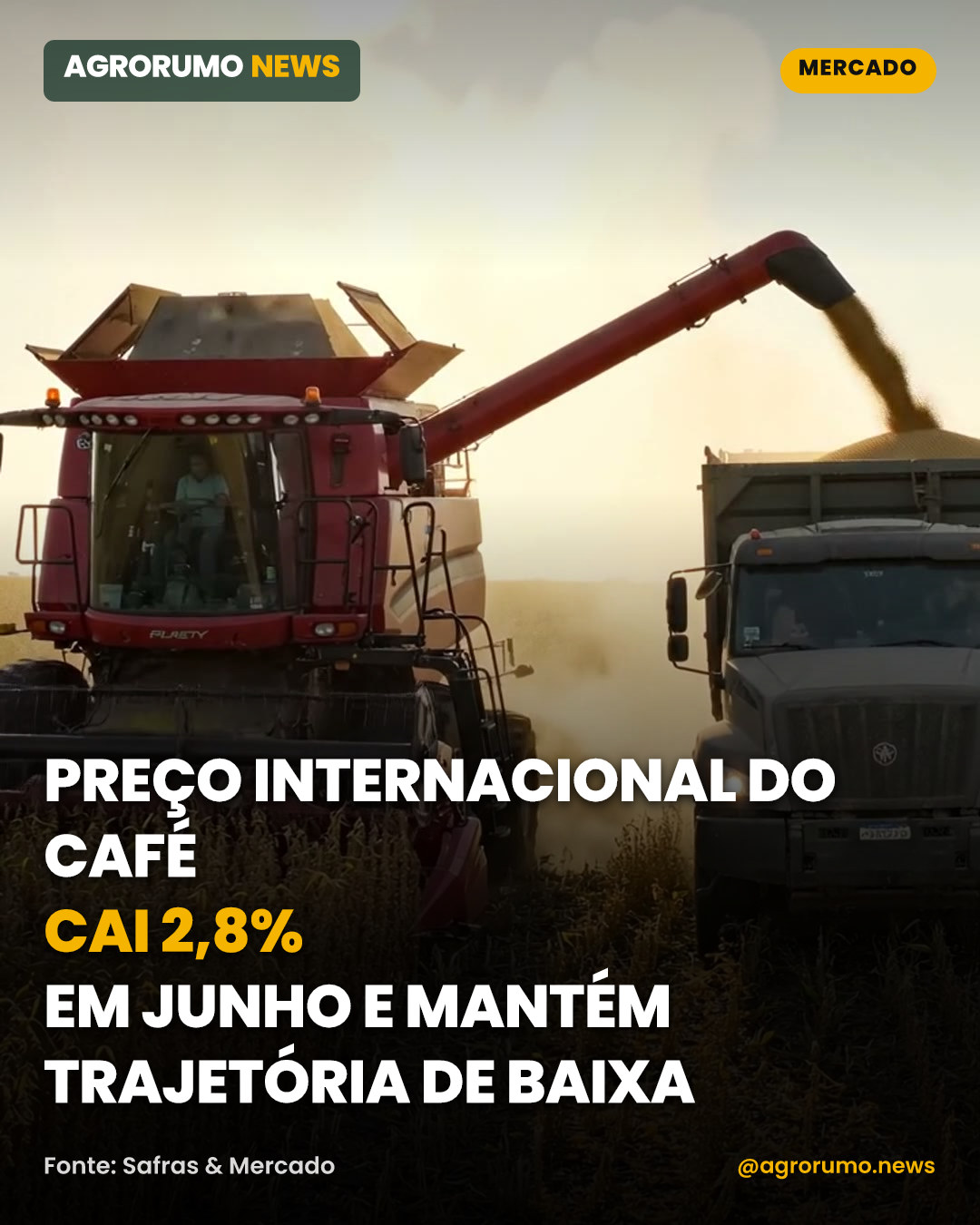 Preço internacional do café cai 2,8% em junho e mantém trajetória de baixa