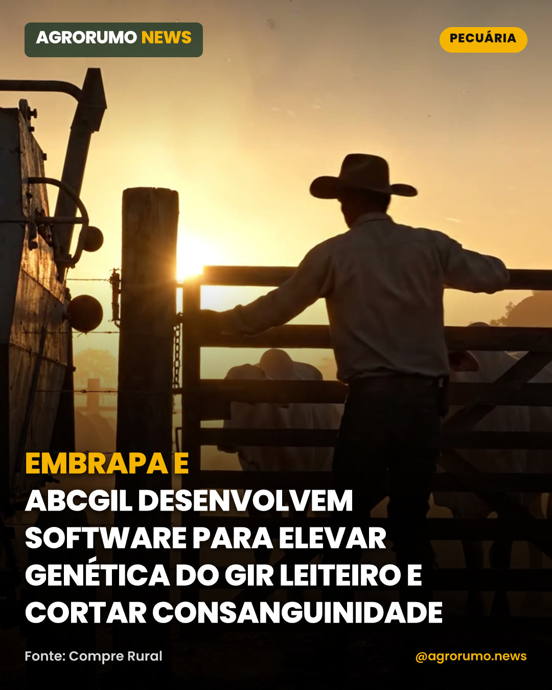 Embrapa e ABCGIL desenvolvem software para elevar genética do Gir Leiteiro e cortar consanguinidade