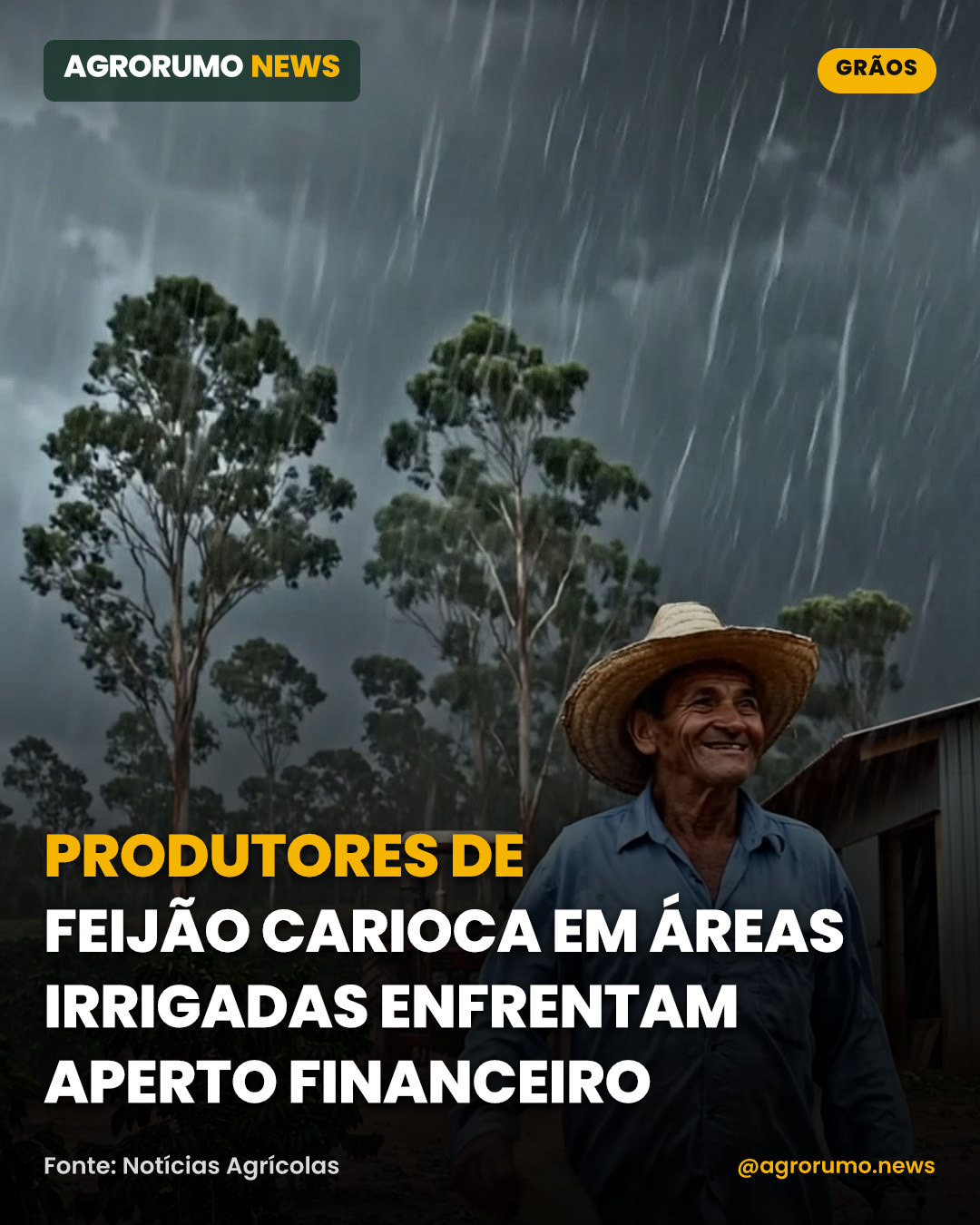 Produtores de feijão carioca em áreas irrigadas enfrentam aperto financeiro