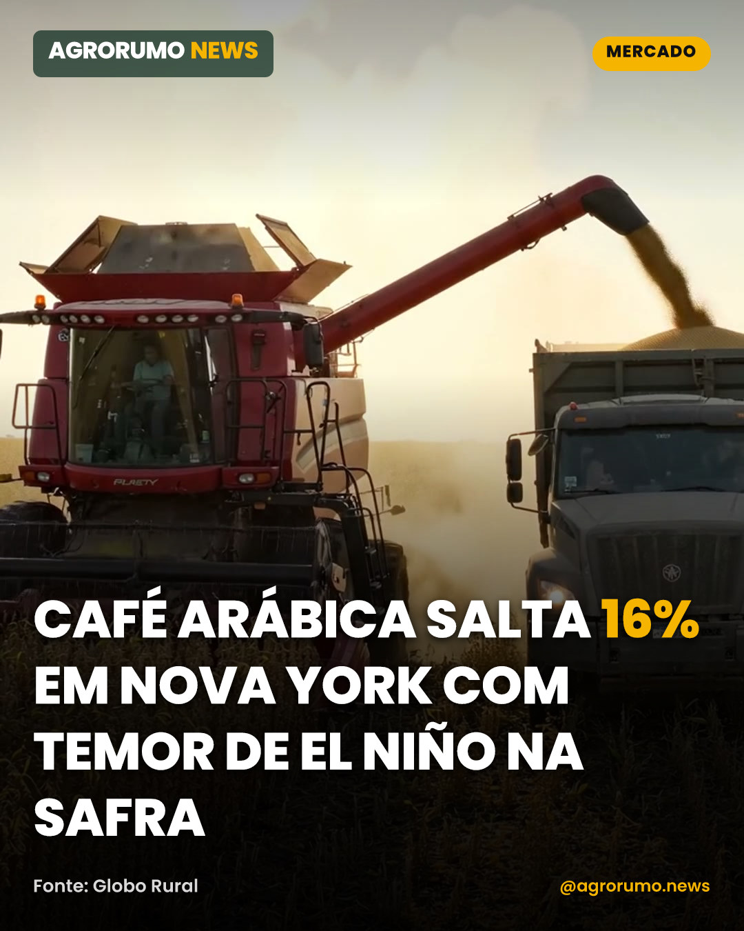 Café arábica salta 16% em Nova York com temor de El Niño na safra