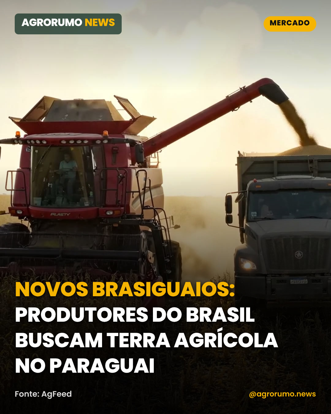Novos brasiguaios: produtores do Brasil buscam terra agrícola no Paraguai