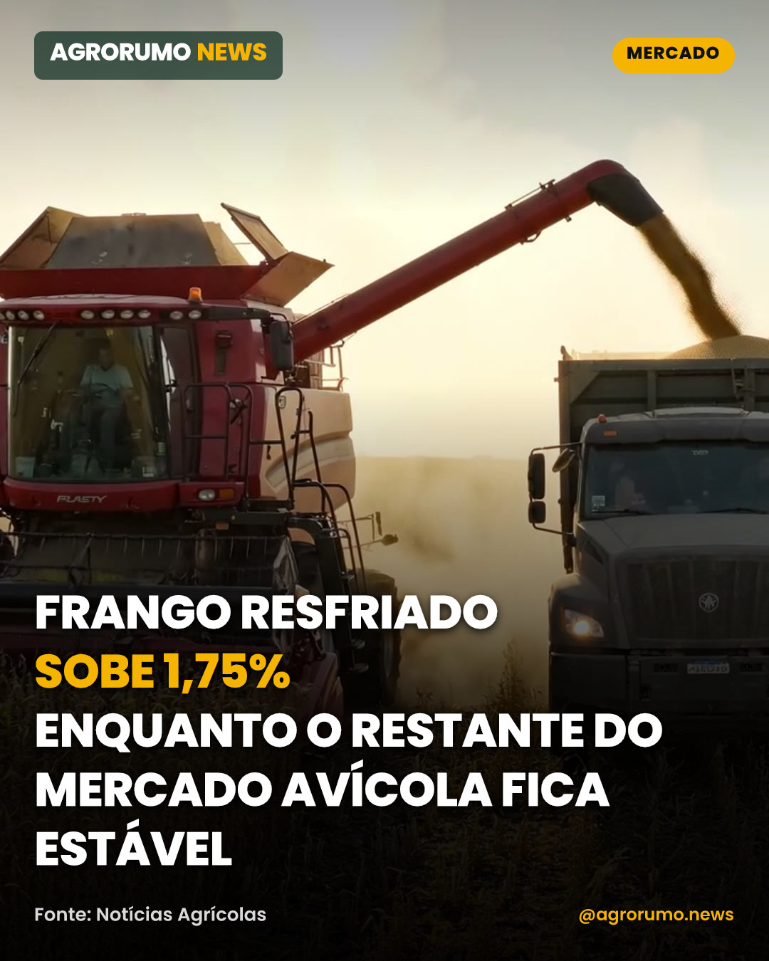 Frango resfriado sobe 1,75% enquanto o restante do mercado avícola fica estável