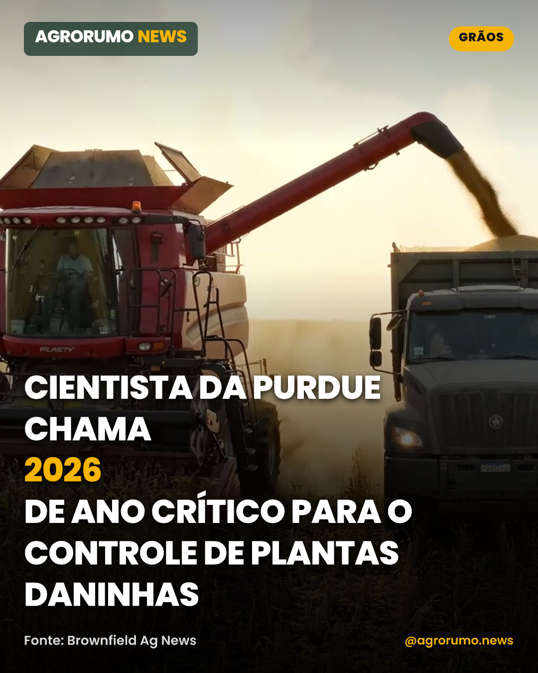 Cientista da Purdue chama 2026 de ano crítico para o controle de plantas daninhas