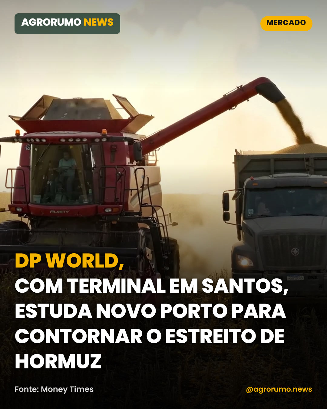 DP World, com terminal em Santos, estuda novo porto para contornar o Estreito de Hormuz