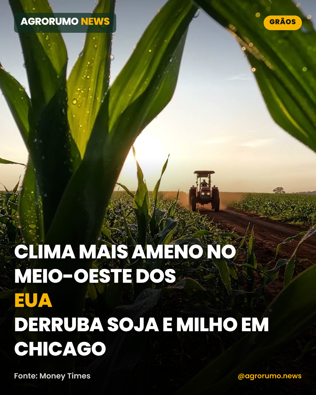 Clima mais ameno no Meio-Oeste dos EUA derruba soja e milho em Chicago