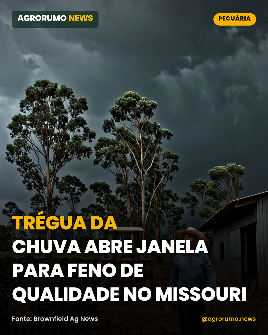 Trégua da chuva abre janela para feno de qualidade no Missouri