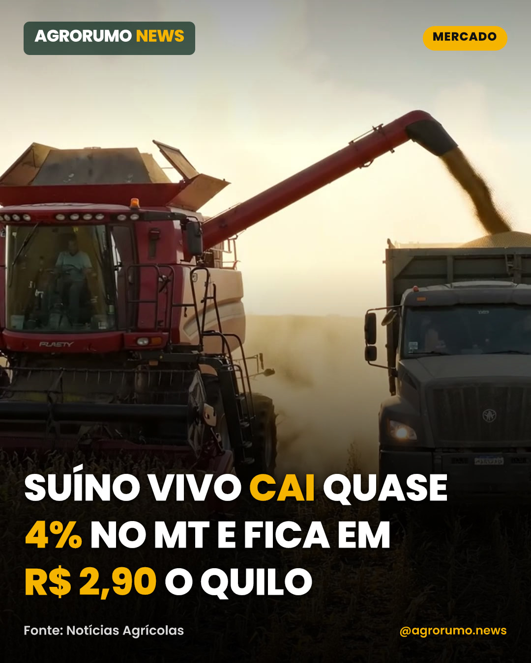 Suíno vivo cai quase 4% no MT e fica em R$ 2,90 o quilo