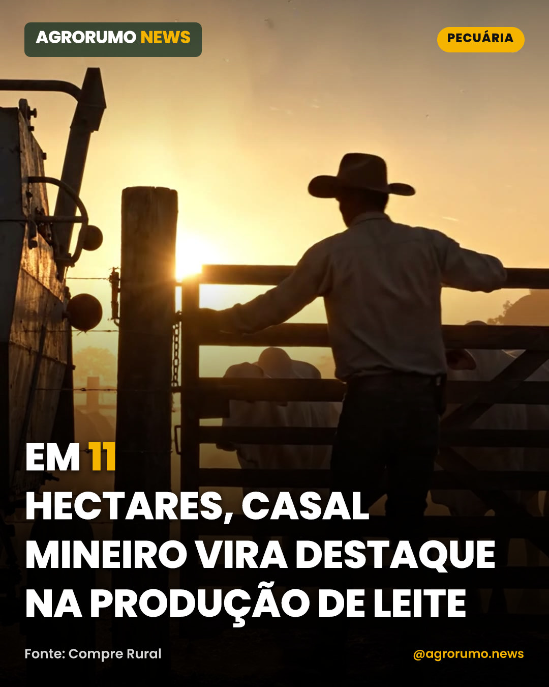 Em 11 hectares, casal mineiro vira destaque na produção de leite