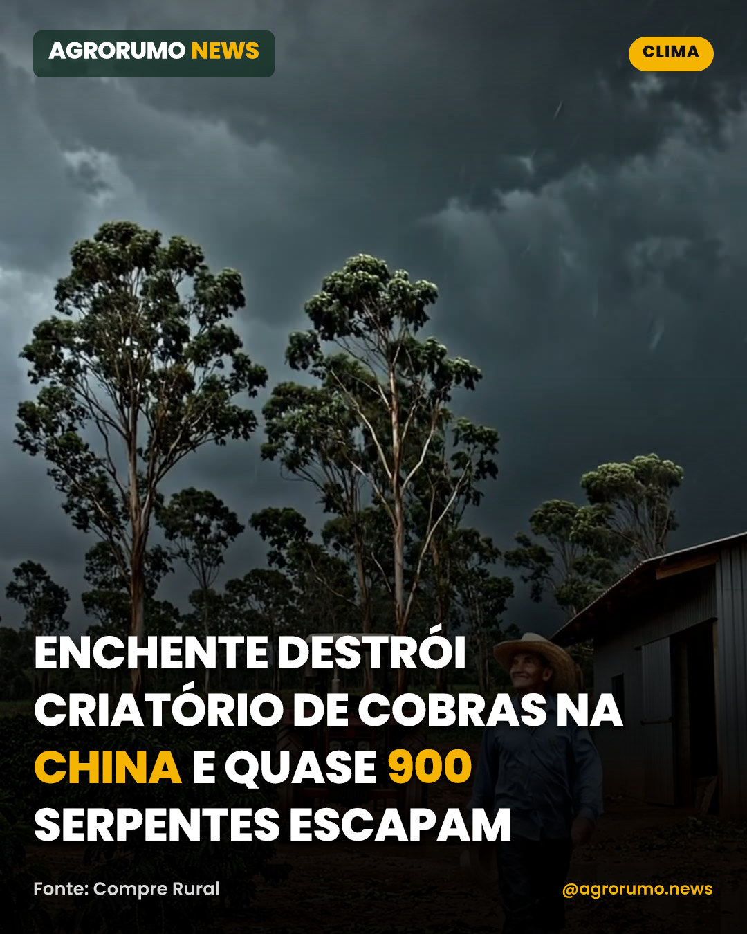 Enchente destrói criatório de cobras na China e quase 900 serpentes escapam