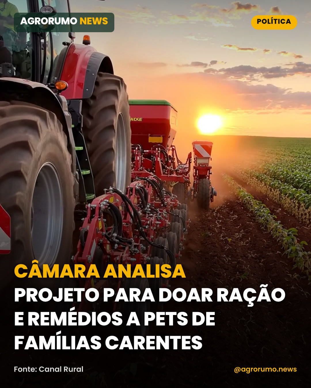 Câmara analisa projeto para doar ração e remédios a pets de famílias carentes