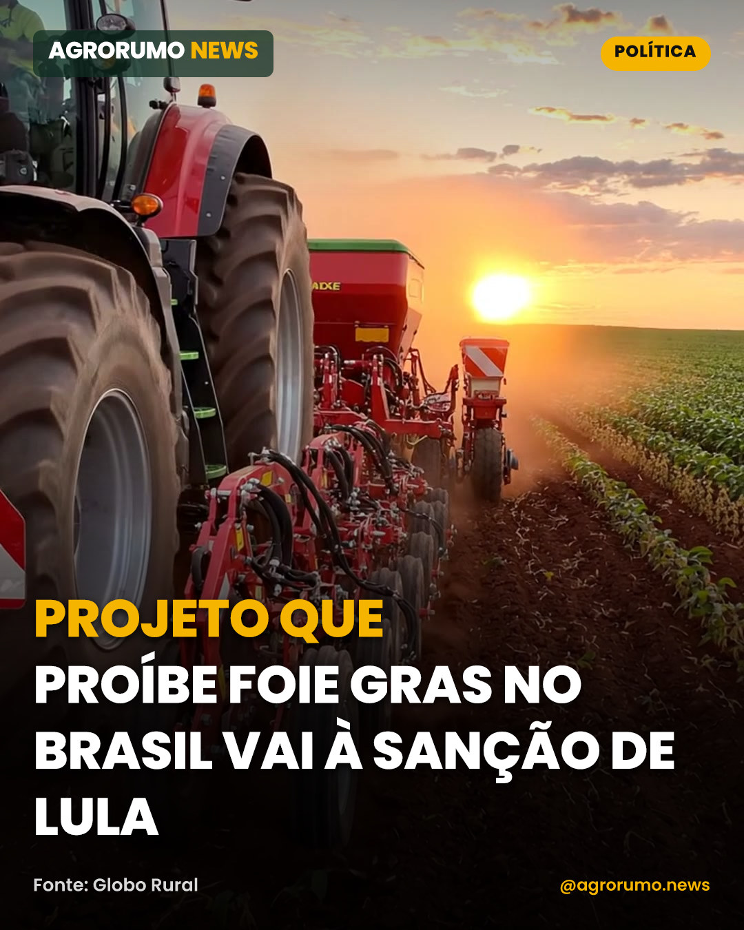 Projeto que proíbe foie gras no Brasil vai à sanção de Lula