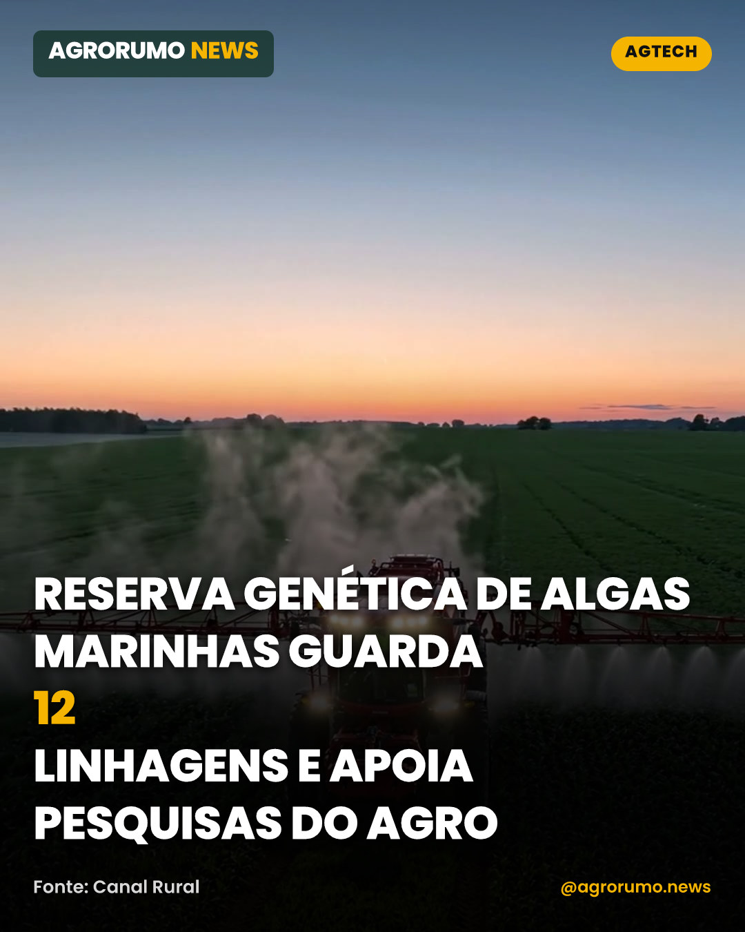 Reserva genética de algas marinhas guarda 12 linhagens e apoia pesquisas do agro