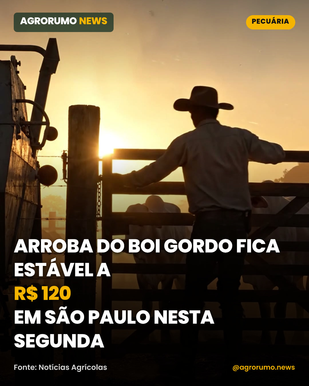 Arroba do boi gordo fica estável a R$ 120 em São Paulo nesta segunda