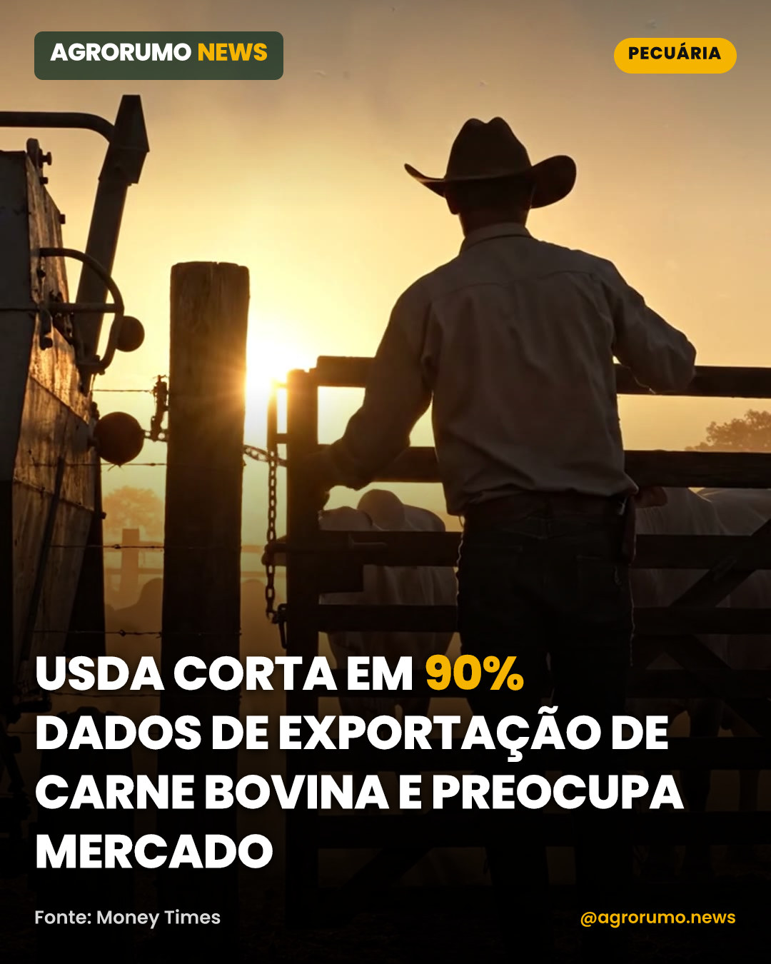 USDA corta em 90% dados de exportação de carne bovina e preocupa mercado