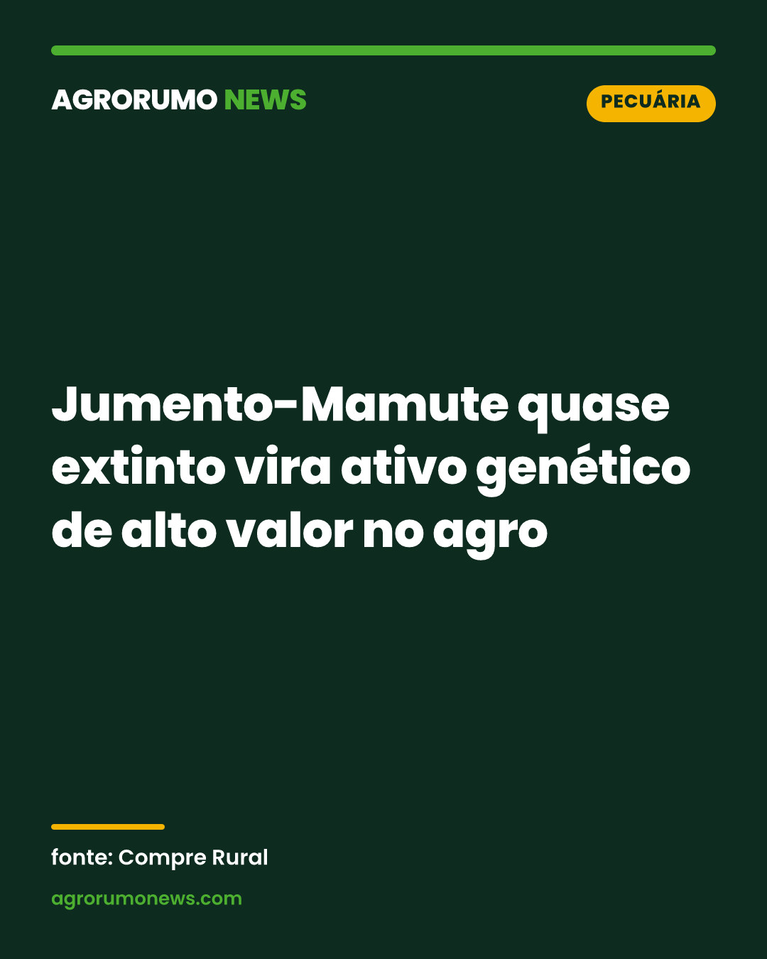 Jumento-Mamute quase extinto vira ativo genético de alto valor no agro