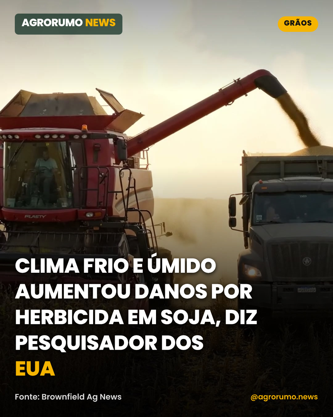 Clima frio e úmido aumentou danos por herbicida em soja, diz pesquisador dos EUA