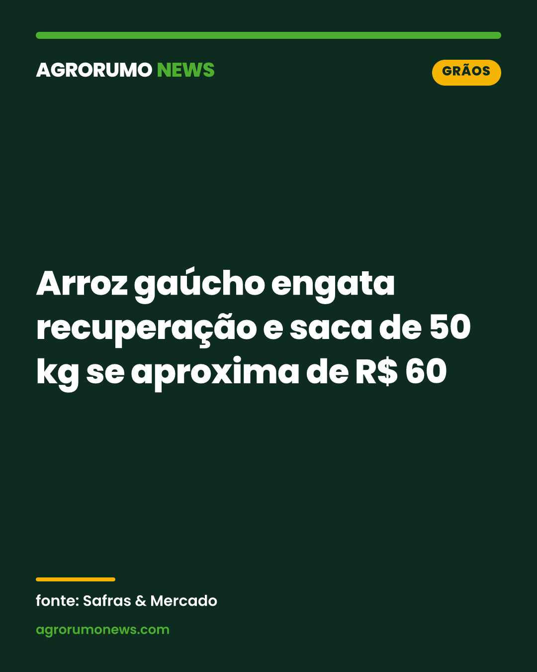Arroz gaúcho engata recuperação e saca de 50 kg se aproxima de R$ 60