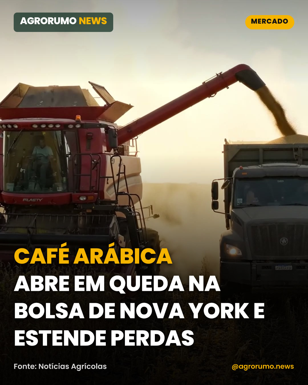 Café arábica abre em queda na Bolsa de Nova York e estende perdas
