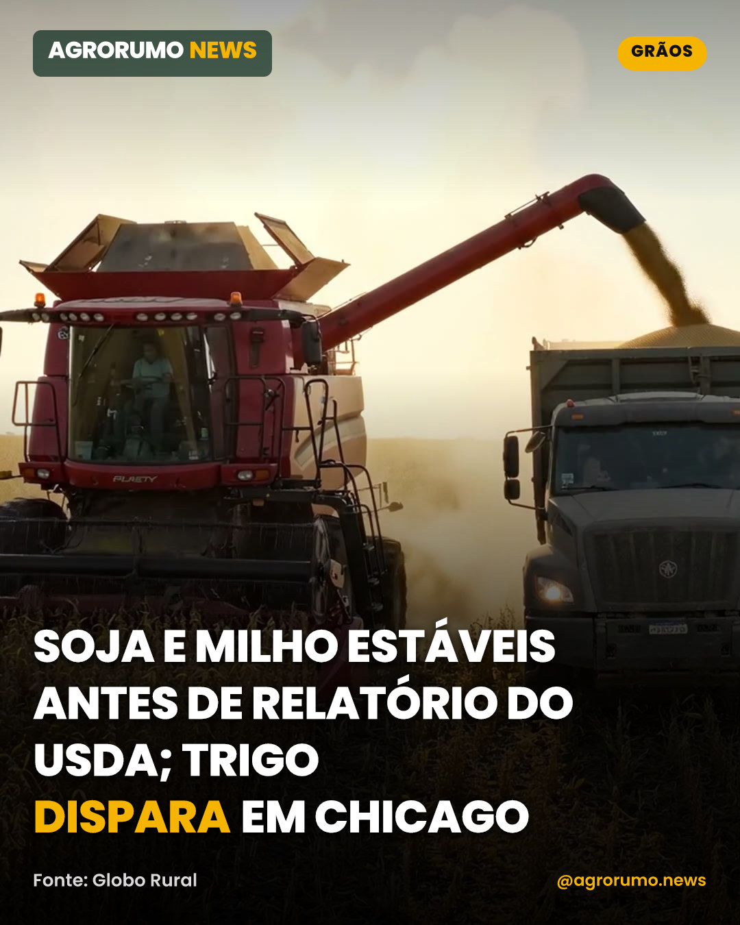 Soja e milho estáveis antes de relatório do USDA; trigo dispara em Chicago