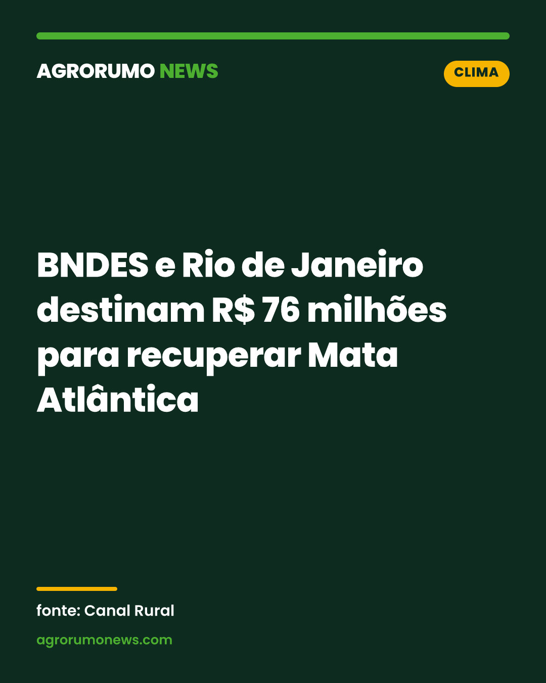 BNDES e Rio de Janeiro destinam R$ 76 milhões para recuperar Mata Atlântica