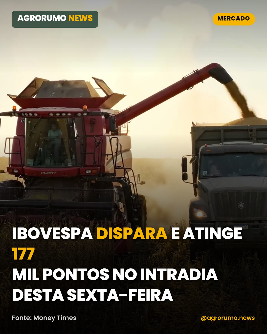 Ibovespa dispara e atinge 177 mil pontos no intradia desta sexta-feira