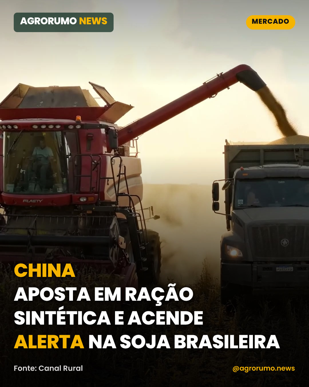 China aposta em ração sintética e acende alerta na soja brasileira