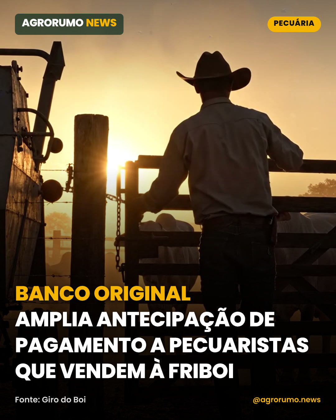 Banco Original amplia antecipação de pagamento a pecuaristas que vendem à Friboi