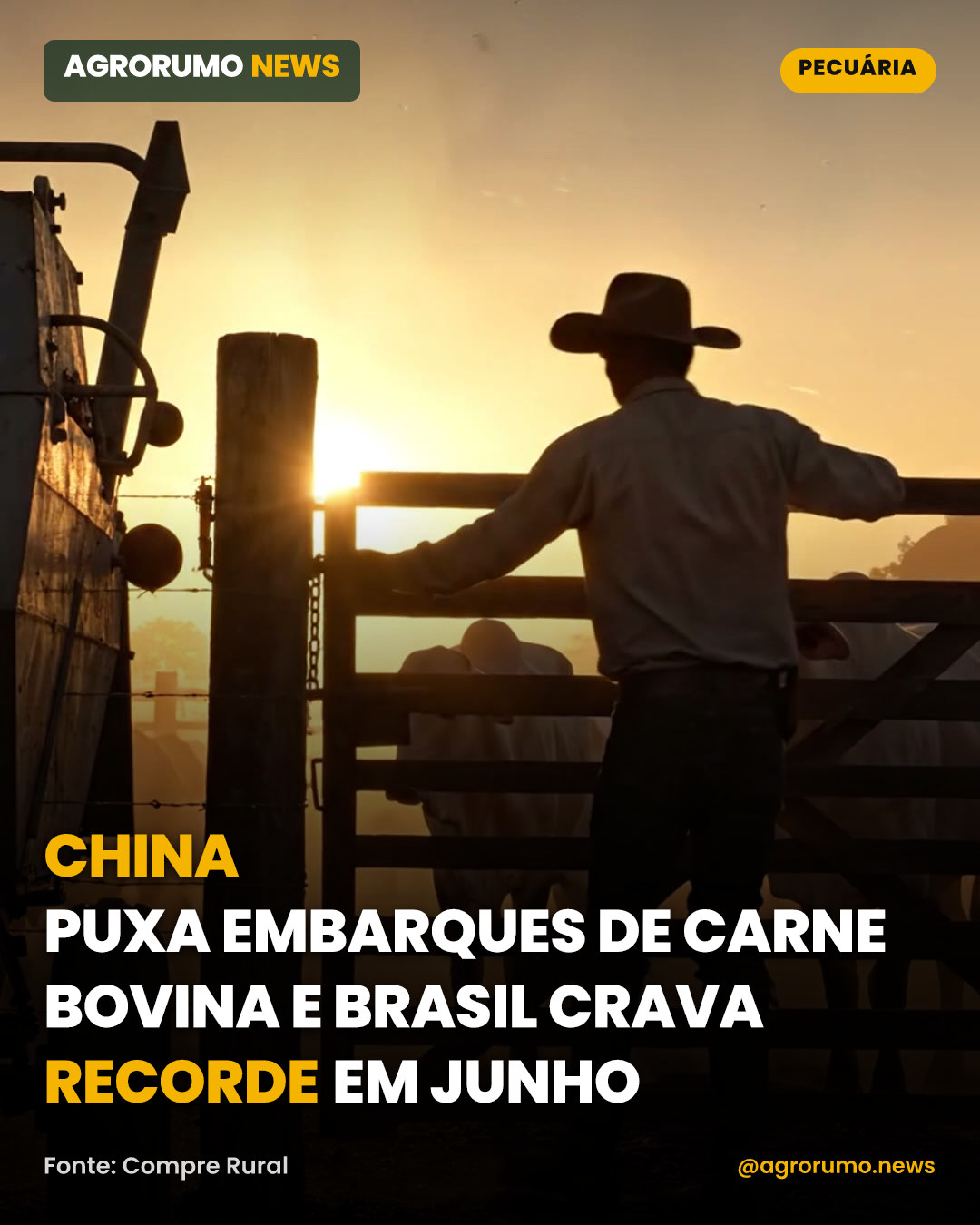 China puxa embarques de carne bovina e Brasil crava recorde em junho