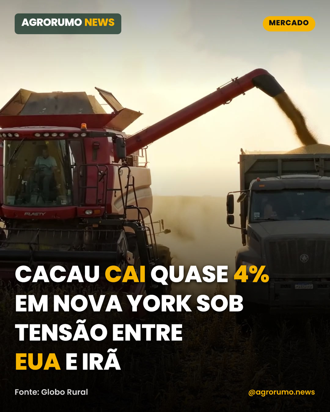 Cacau cai quase 4% em Nova York sob tensão entre EUA e Irã