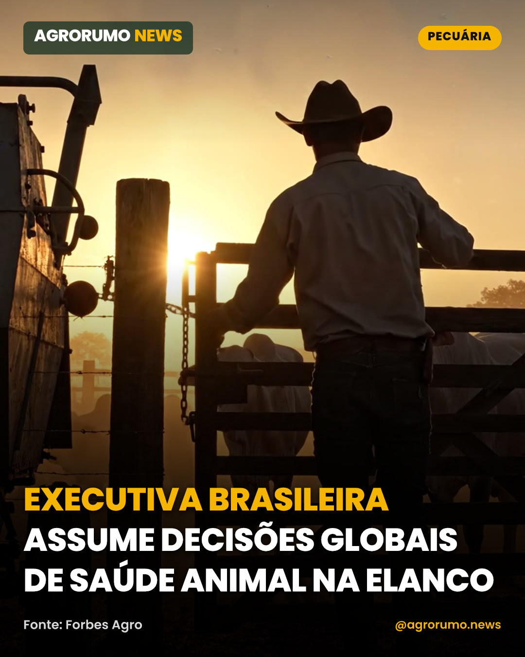 Executiva brasileira assume decisões globais de saúde animal na Elanco